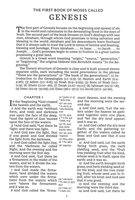 KJV Large Print Center-Column Reference Bible, Comfort Print--bonded leather, brown (indexed)