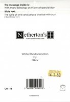 Wedding Card CN113