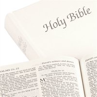 Royal Ruby Text Bible, 31White