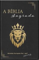 Portuguese Bible, hardback