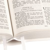 Royal Ruby Text Bible, 31White