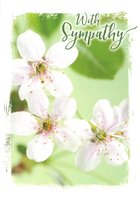 Sympathy Card TE5187XA