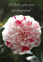 Get Well Card CN116