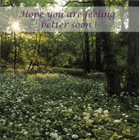 GET WELL CARD CDC329